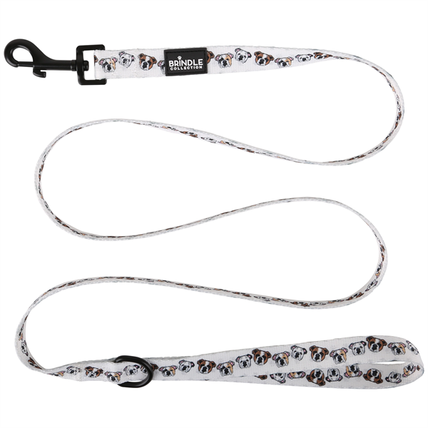 Dog Leash - Dog Leash - Image 0 of 4