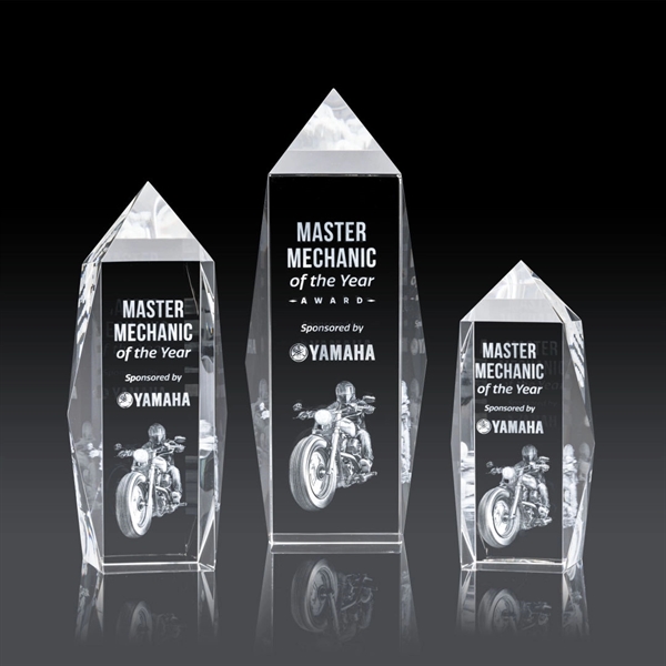 Bloomington Award 3D