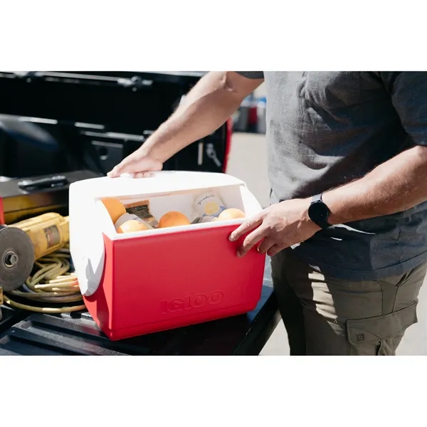 Igloo® Playmate Elite 16 Qt Cooler - Igloo® Playmate Elite 16 Qt Cooler - Image 8 of 23