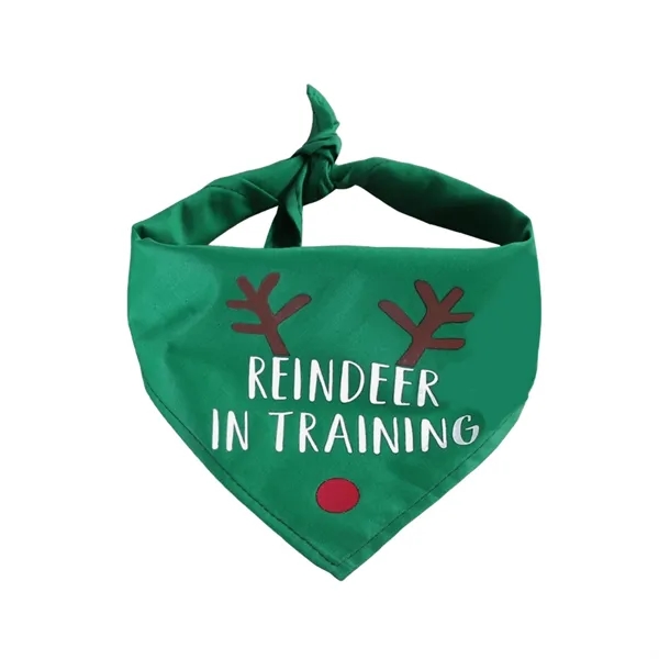 Pet Triangle Scarf - Pet Triangle Scarf - Image 0 of 2
