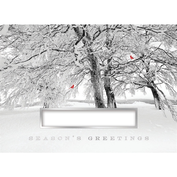 Cardinal Season - Cardinal Season - Image 0 of 0