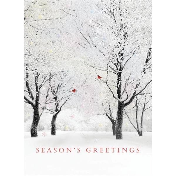 Shimmering Trees - Shimmering Trees - Image 0 of 0