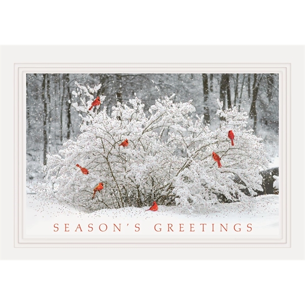 Winter Perch Holiday Cards - Winter Perch Holiday Cards - Image 0 of 0