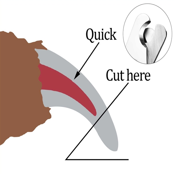 Pet Nail Clippers - Pet Nail Clippers - Image 4 of 4