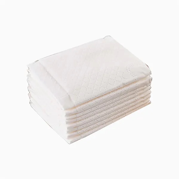 Custom Pocket Packs Facial Tissues - Custom Pocket Packs Facial Tissues - Image 1 of 3