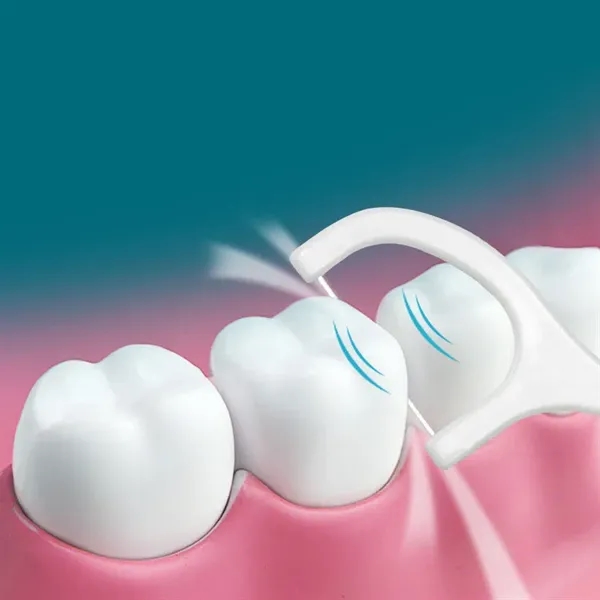 Each Individually Wrapped Teeth Cleaning Care Floss - Each Individually Wrapped Teeth Cleaning Care Floss - Image 5 of 5