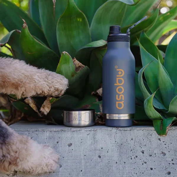 30 oz, Asobu Buddy, The only 3-1 Bottle for you & your dog! - 30 oz, Asobu Buddy, The only 3-1 Bottle for you & your dog! - Image 8 of 12