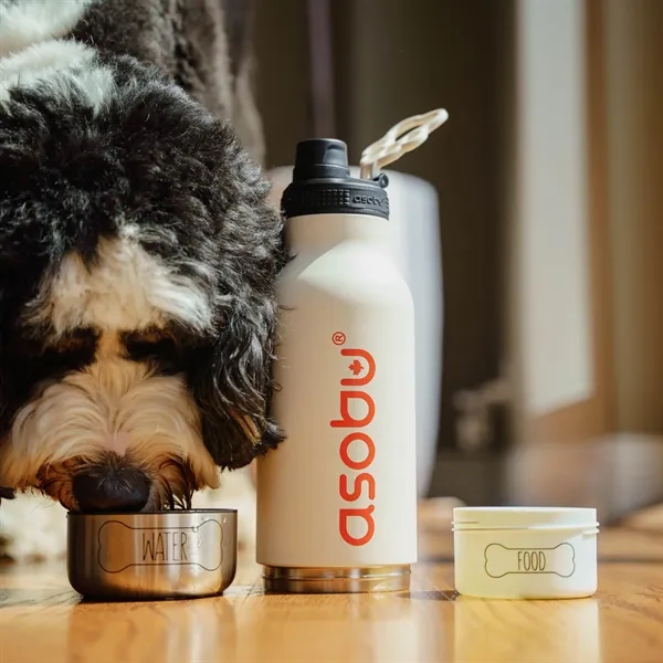 30 oz, Asobu Buddy, The only 3-1 Bottle for you & your dog! - 30 oz, Asobu Buddy, The only 3-1 Bottle for you & your dog! - Image 0 of 12