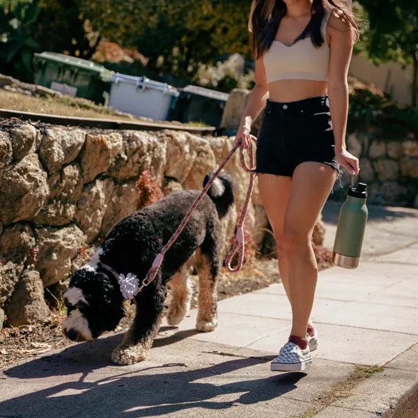 30 oz, Asobu Buddy, The only 3-1 Bottle for you & your dog! - 30 oz, Asobu Buddy, The only 3-1 Bottle for you & your dog! - Image 12 of 12