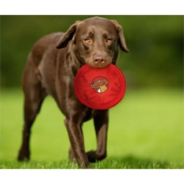Custom Fetch and Catch