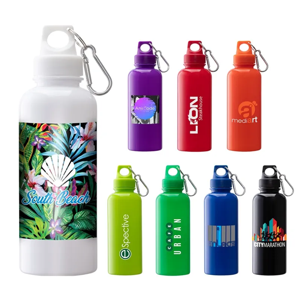 Brio 20 oz. PS Water Bottle w/ Carabiner - Brio 20 oz. PS Water Bottle w/ Carabiner - Image 0 of 8