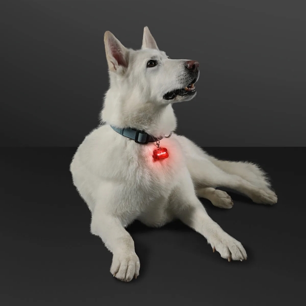 LED Dog Bone Safety Pet Light - LED Dog Bone Safety Pet Light - Image 7 of 7