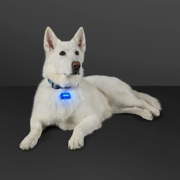 LED Dog Bone Safety Pet Light - LED Dog Bone Safety Pet Light - Image 3 of 7