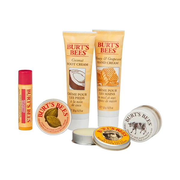 Burt's Bees Tips and Toes Kit