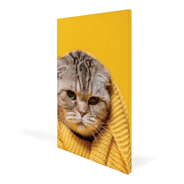 16x20 Canvas Frame (Graphic Package) - 16x20 Canvas Frame (Graphic Package) - Image 0 of 0