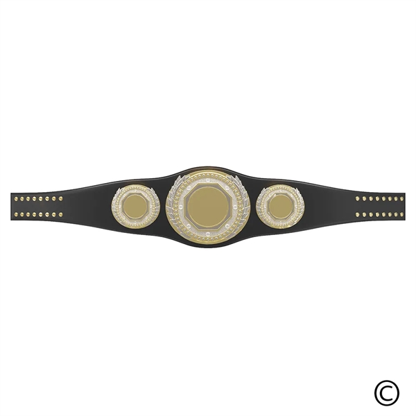 Express Vibraprint® Presidential Champion Award Belt - Express Vibraprint® Presidential Champion Award Belt - Image 18 of 23