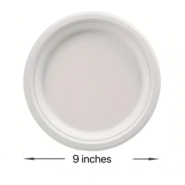 Eco-Friendly Disposable Biodegradable Plate - Eco-Friendly Disposable Biodegradable Plate - Image 1 of 1