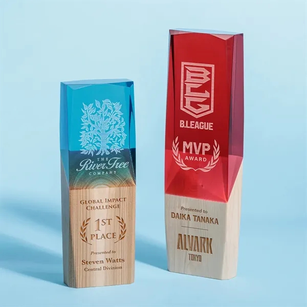Clearmount Custom Award - Clearmount Custom Award - Image 2 of 3