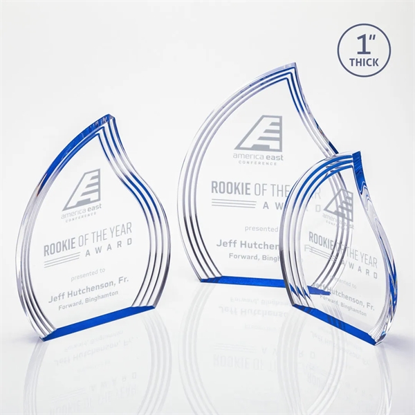 Tidworth Award - Clear Blue Right - Tidworth Award - Clear Blue Right - Image 0 of 7