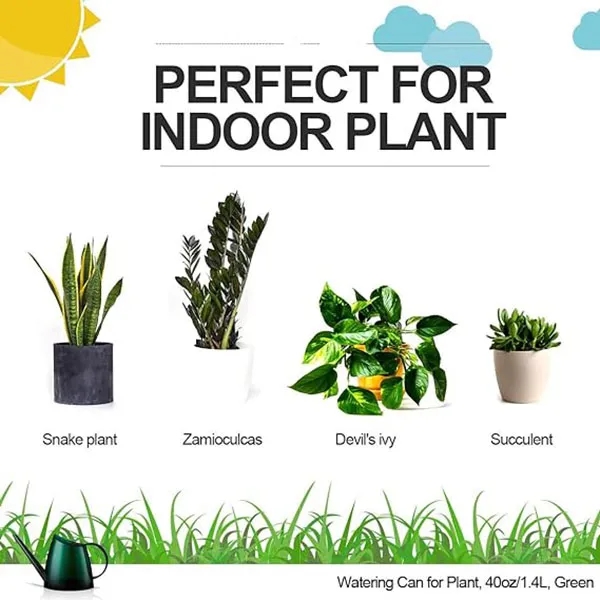 Indoor watering cans for house bonsai plants, garden flowers - Indoor watering cans for house bonsai plants, garden flowers - Image 8 of 10