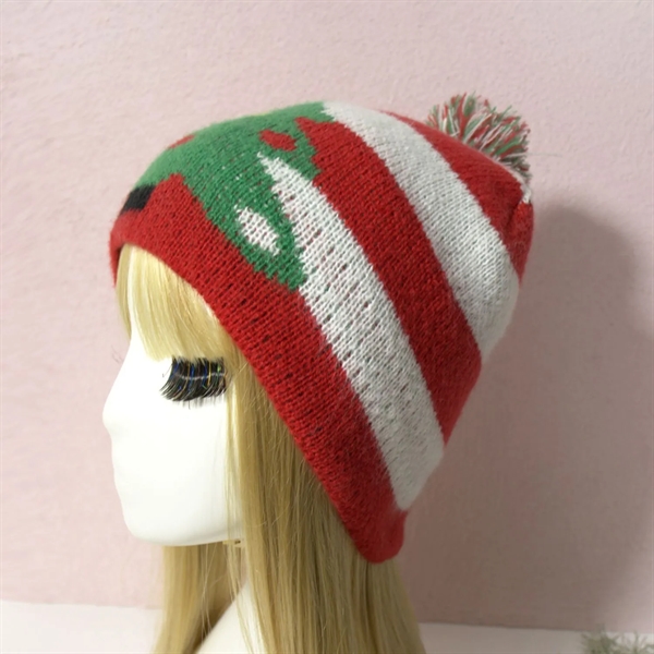 Striped Knitted Beanie - Striped Knitted Beanie - Image 2 of 6
