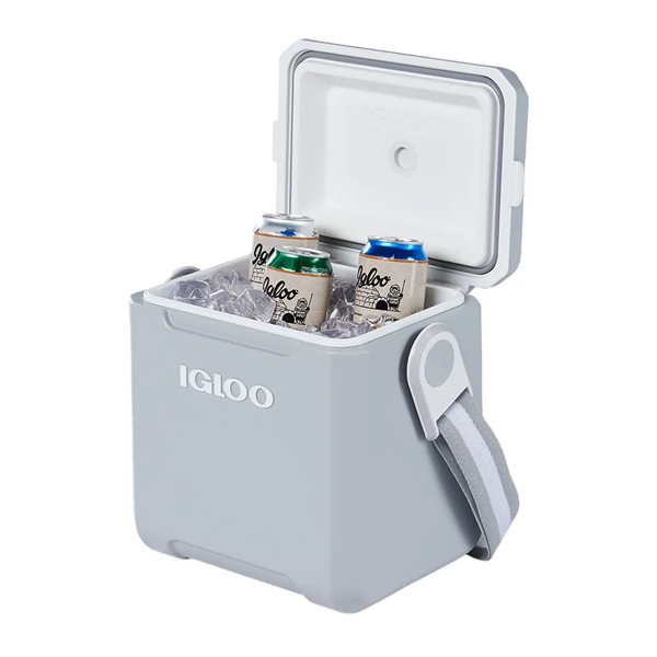 Igloo Tag Along Too 11qt Cooler - Igloo Tag Along Too 11qt Cooler - Image 1 of 4