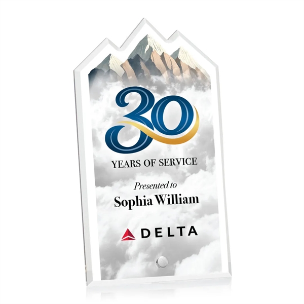 Polaris Summit VividPrint™ Award - Silver
