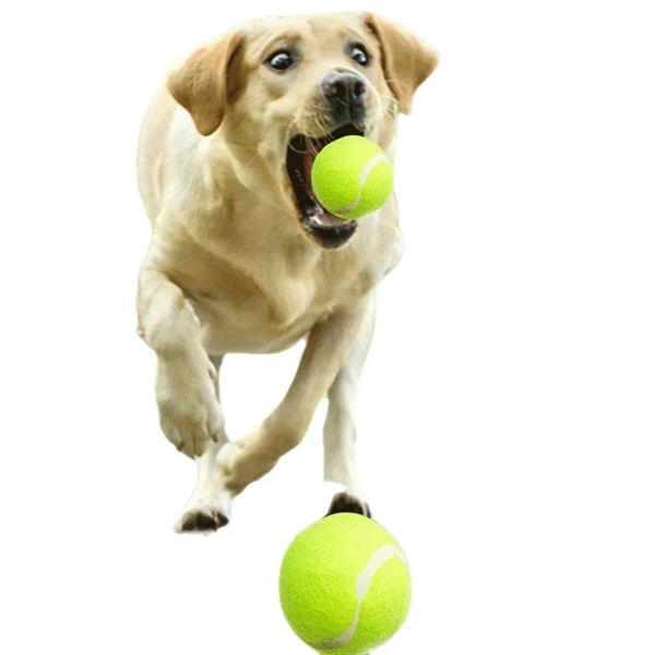 Custom Tennis Ball - Personalized Pet Toy - Custom Tennis Ball - Personalized Pet Toy - Image 3 of 3