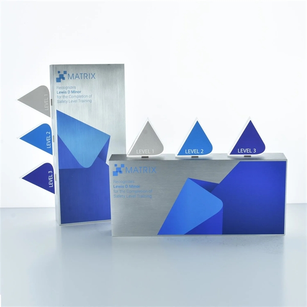 Magnetism Award - Magnetism Award - Image 6 of 16