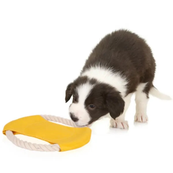 Pet Rope Frisbee - Pet Rope Frisbee - Image 1 of 5