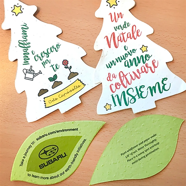 Extra Large Seed Paper Shapes - Double Sided - Extra Large Seed Paper Shapes - Double Sided - Image 0 of 2