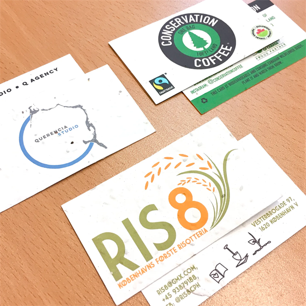 Double-Sided Plantable Business Cards - Double-Sided Plantable Business Cards - Image 1 of 5