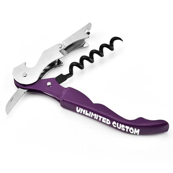 Wine Bottle Corkscrew Key Opener - Wine Bottle Corkscrew Key Opener - Image 3 of 4