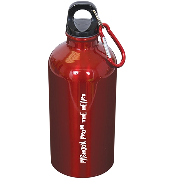 500 Ml (17 Fl. Oz.) Stainless Steel Bottle With Carabiner - 500 Ml (17 Fl. Oz.) Stainless Steel Bottle With Carabiner - Image 0 of 0