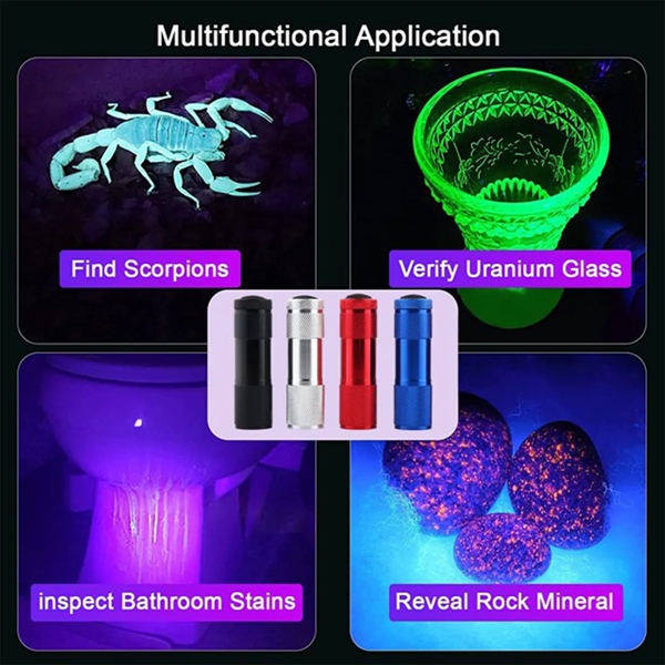 High Luminous Intensity Portable Ultra Violet Flashlight - High Luminous Intensity Portable Ultra Violet Flashlight - Image 5 of 8
