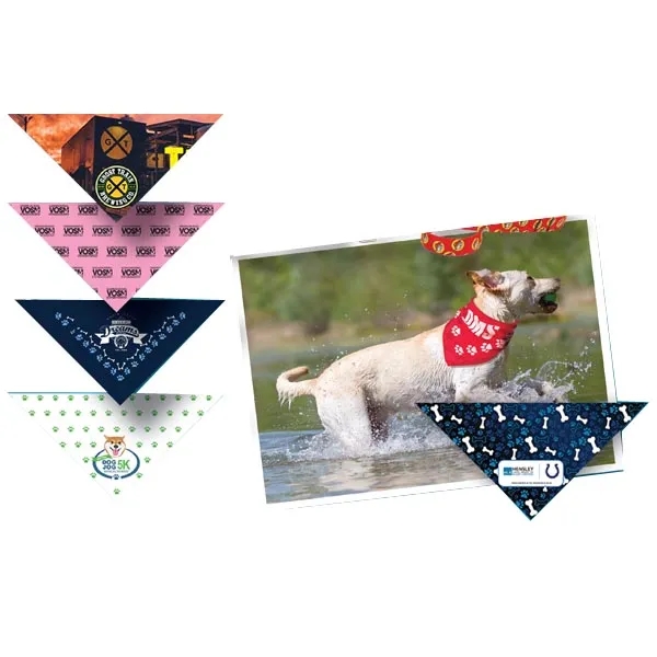 NEW Snap & Go Pet Triangle Medium - Large Sizes - Imported - NEW Snap & Go Pet Triangle Medium - Large Sizes - Imported - Image 3 of 4