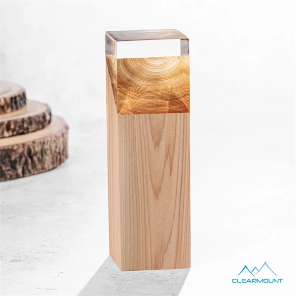 Falaise Award - Falaise Award - Image 4 of 6