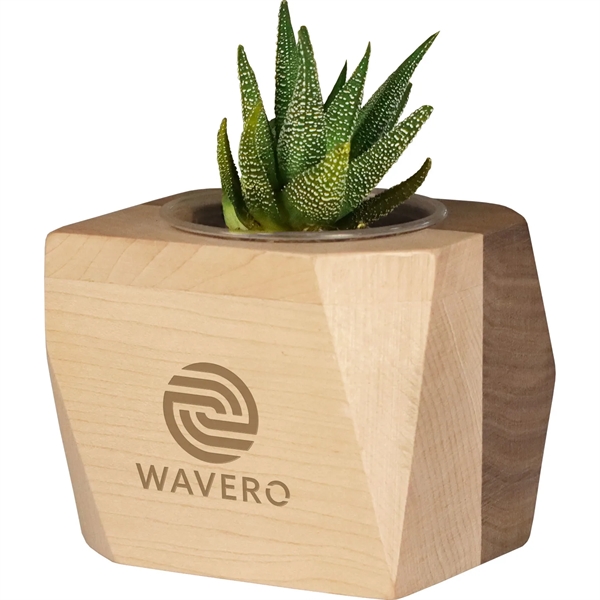 Custom Geometric Wooden Planter with Succulent