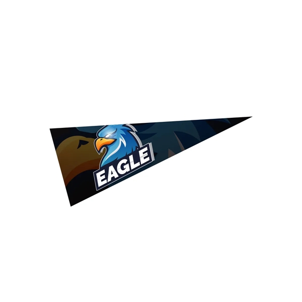5" x 12" Pennant - 5" x 12" Pennant - Image 0 of 1