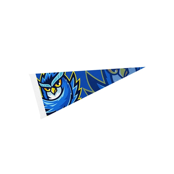 4" x 10" Pennant - 4" x 10" Pennant - Image 1 of 2