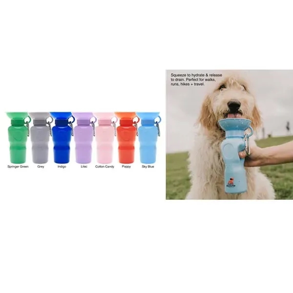 Springer 22oz Mini Travel Bottle