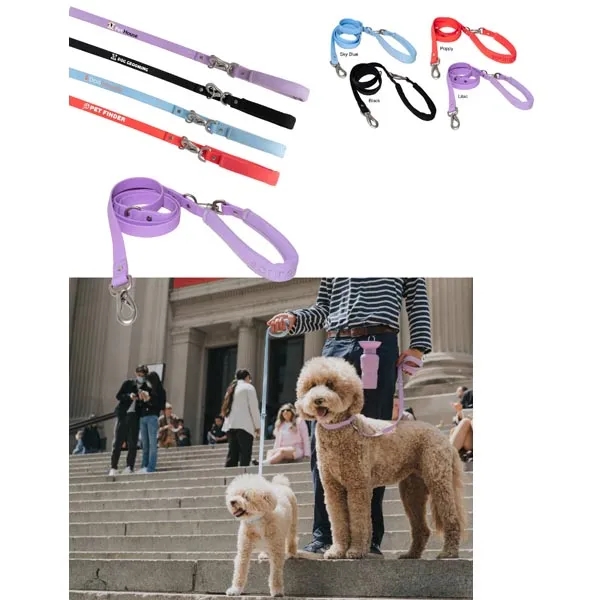 Custom Springer Small Dog Leash