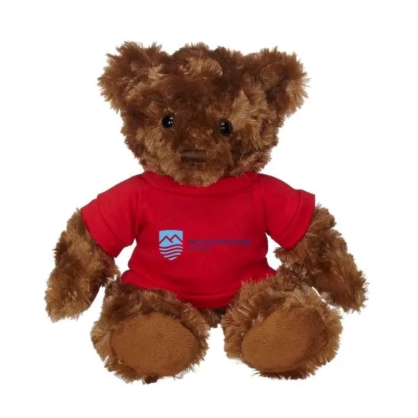 Fergus Bear w/t-shirt - Fergus Bear w/t-shirt - Image 0 of 6