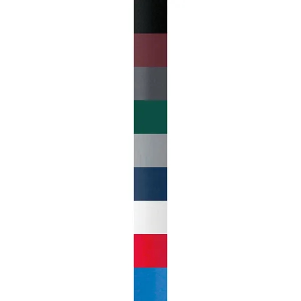 BIC® ip Roller Pen - BIC® ip Roller Pen - Image 26 of 51