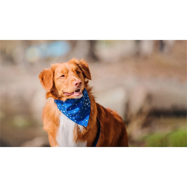 Sublimated Pet Bandana - Sublimated Pet Bandana - Image 2 of 2