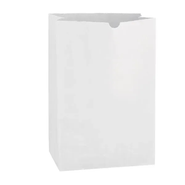 Lightweight 35# White Kraft 1/6 bbl. Large SOS Grocery Bag - Lightweight 35# White Kraft 1/6 bbl. Large SOS Grocery Bag - Image 1 of 1