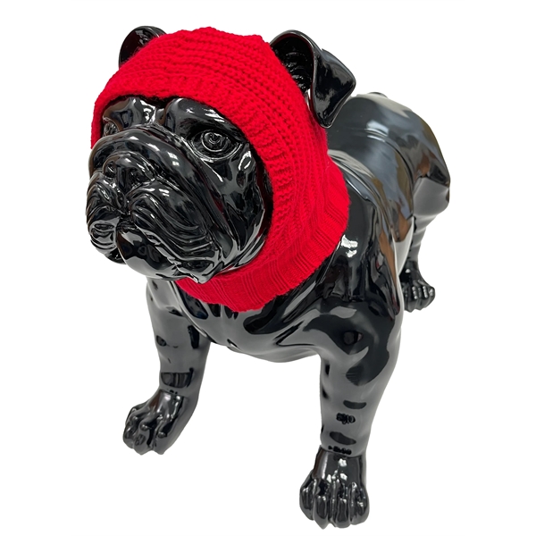 Knit Pet Beanie - Knit Pet Beanie - Image 0 of 0