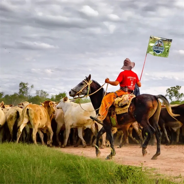 50" Cattle Whip Rod with 12"x12" Custom Nylon Flag - 50" Cattle Whip Rod with 12"x12" Custom Nylon Flag - Image 2 of 2