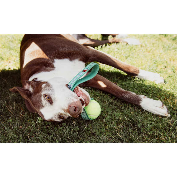 Tennis Ball Sling Dog Toy - Tennis Ball Sling Dog Toy - Image 1 of 8