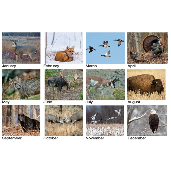 American Wildlife Tent Desk Calendar - American Wildlife Tent Desk Calendar - Image 1 of 1